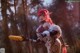 A woman with red hair holding a sword in a forest.